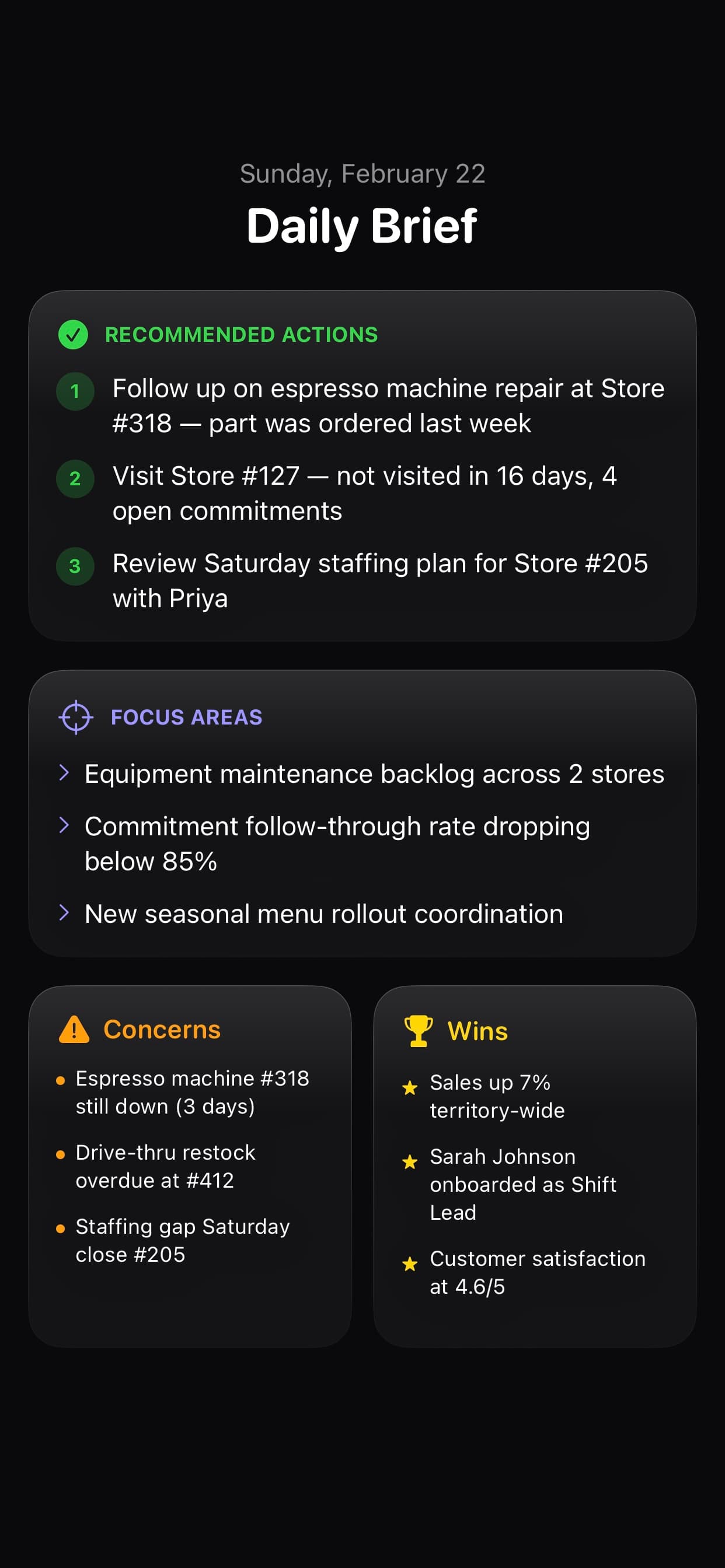 Daily Brief with recommended actions, focus areas, concerns and wins